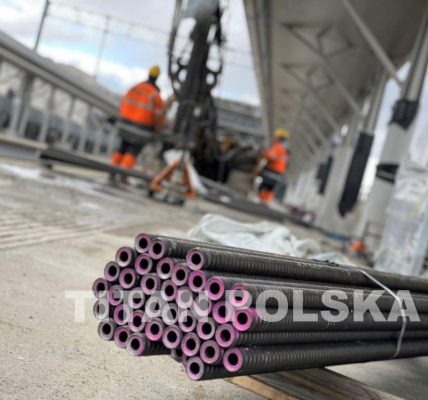 Interdyscyplinarność