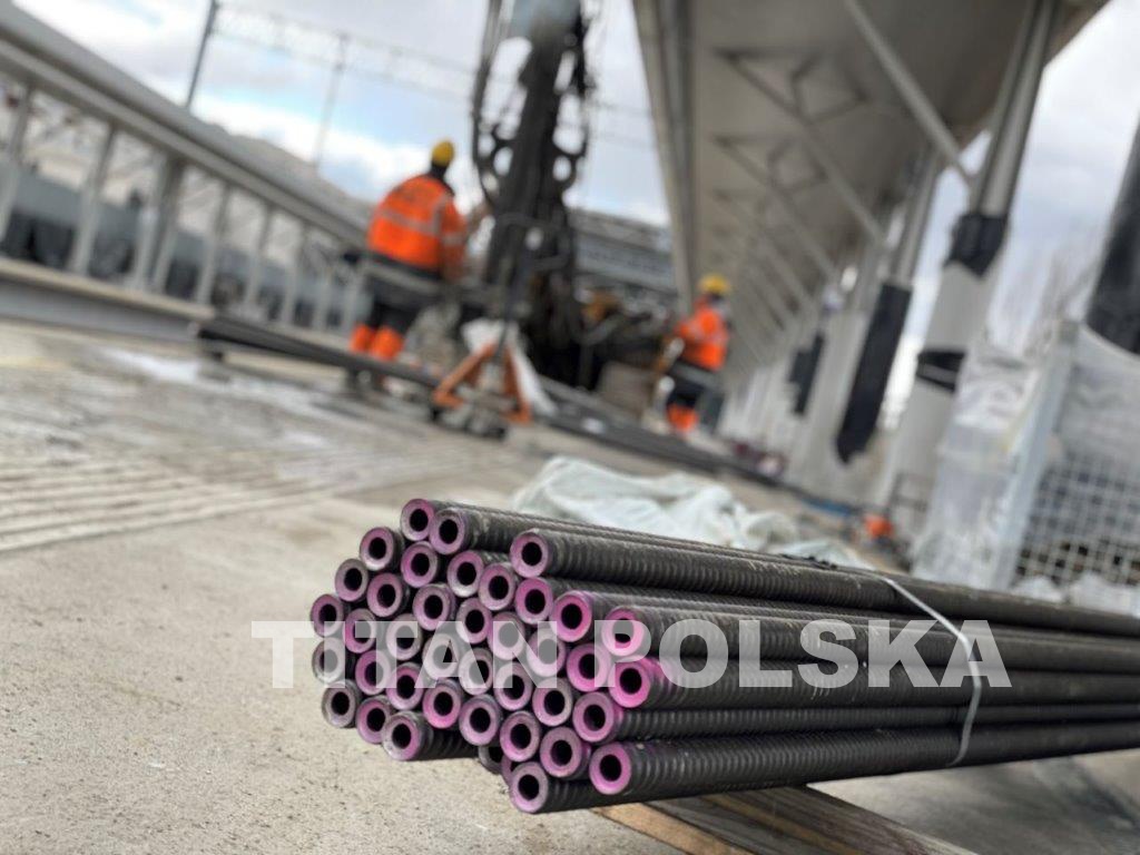 Interdyscyplinarność