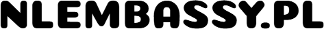 Logo NL embassy